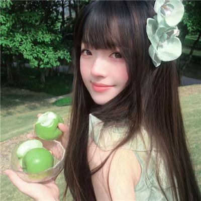 藏历一年